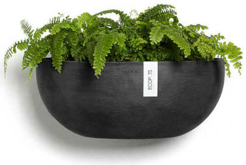 Γλάστρα Τοίχου Sofia Wall ECOPOTS 43x25x(Υ)17,5cm Γκρι Σκούρα με Φυτό